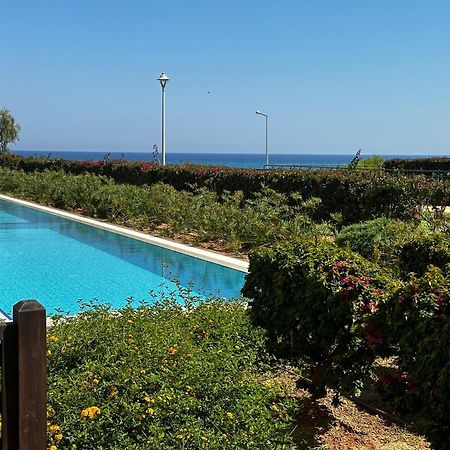 Green Apartment In Bafra Northern Cyprus Vokolidha Dış mekan fotoğraf