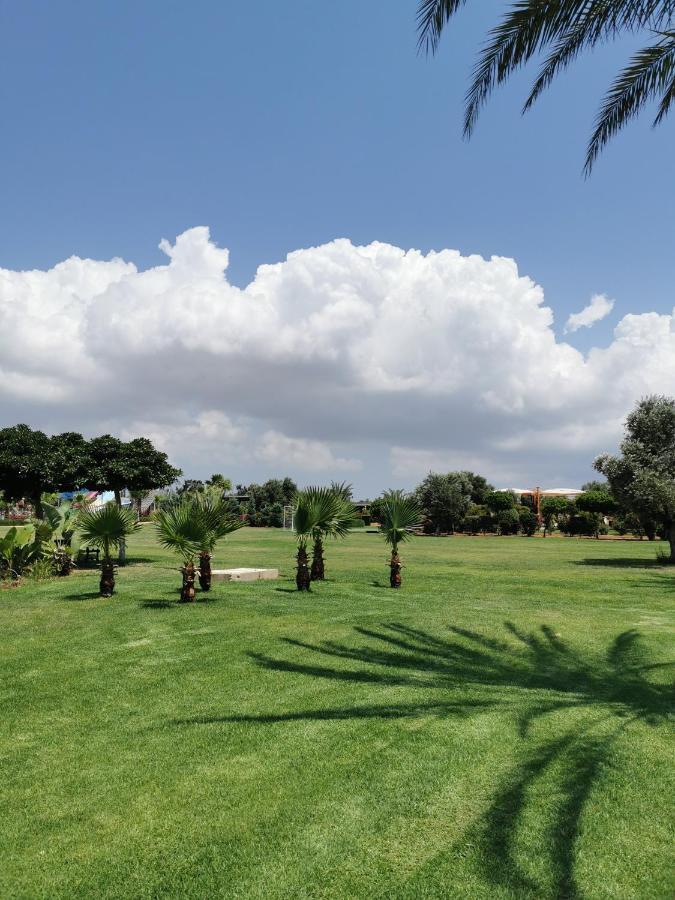 Green Apartment In Bafra Northern Cyprus Vokolidha Dış mekan fotoğraf