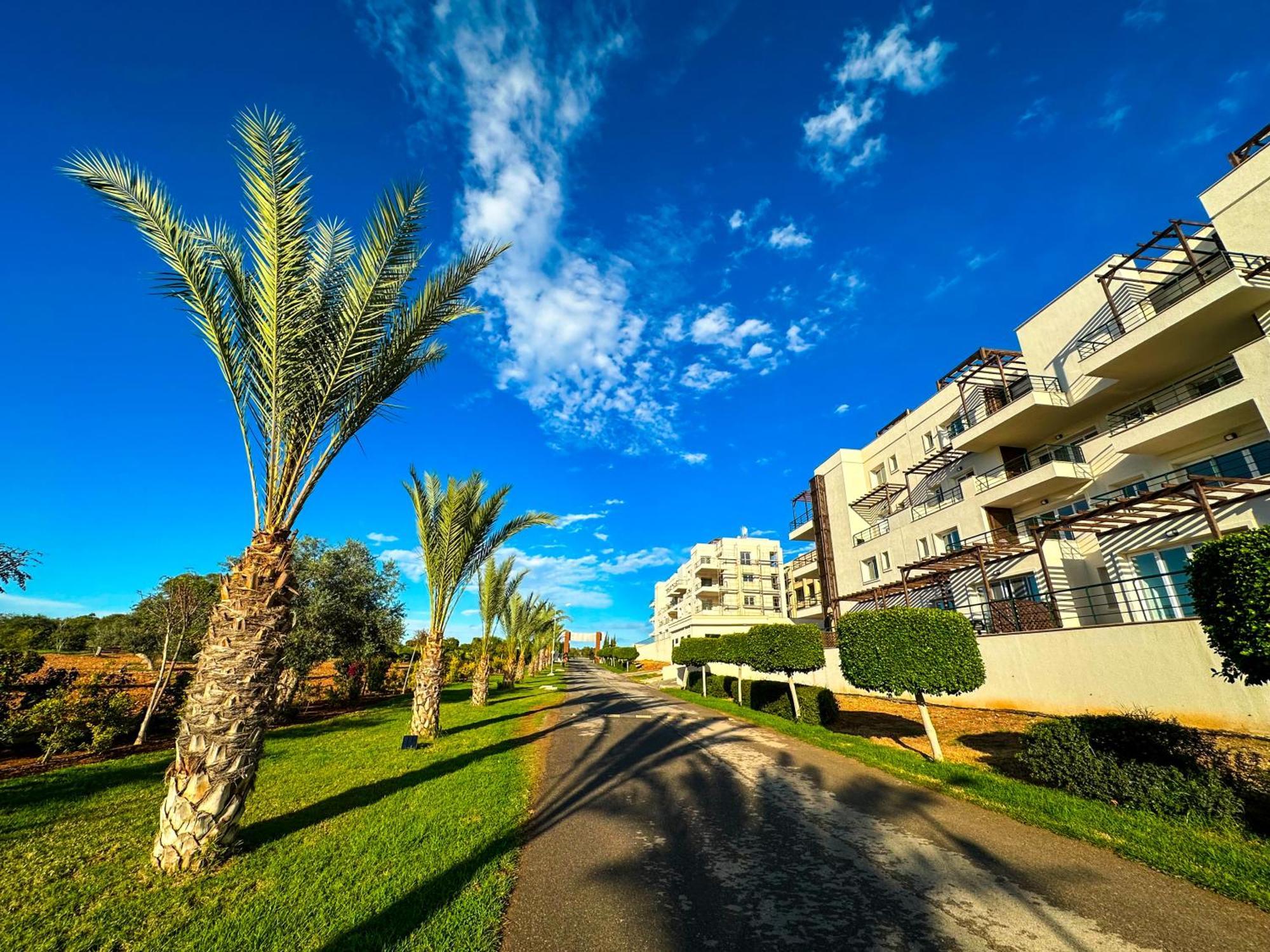 Green Apartment In Bafra Northern Cyprus Vokolidha Dış mekan fotoğraf